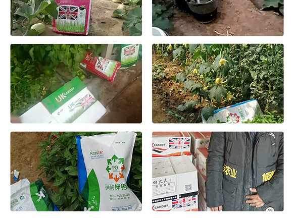 英国卡_夫（北京Q农业科技有限公司产品2_08.jpg