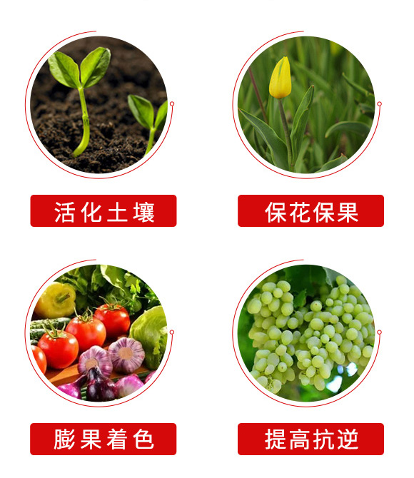 农业用钾?农资集团_05.jpg