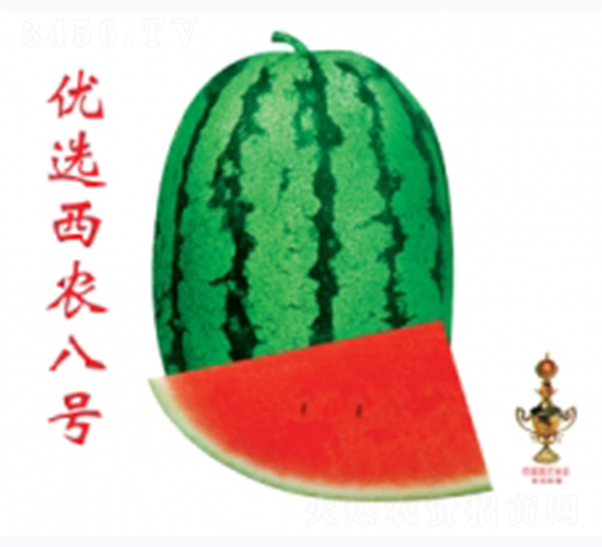 (yu)xr̖-ϷN-ؼtNI(y)