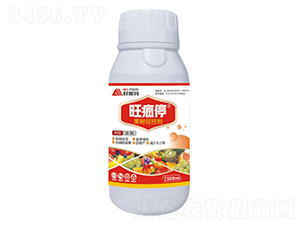 500ml(sh)ٿ؄-ͣ-