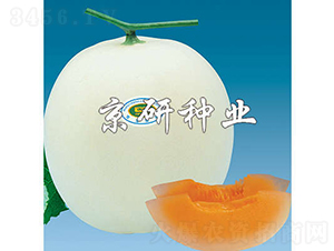 2̖(ho)-ϷN-зNI(y)