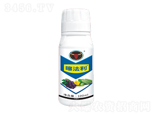 ˪ù߲(zhun)-編-ţ(gu)H