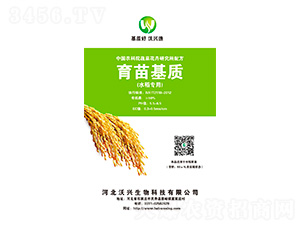 ˮ(zhun)|(zh)-d